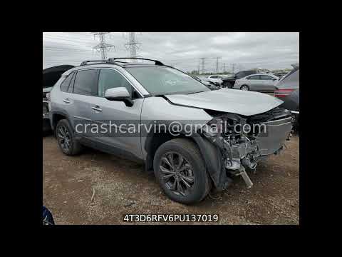 4T3D6RFV6PU137019 - Toyota RAV4 2023